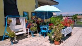 Il sollievo