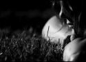 Senz'emozione