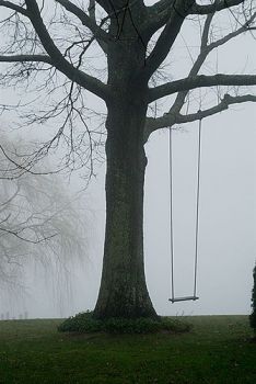Eterno solitario