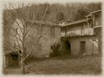 Il mio paese