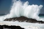 Mare voglio diventare