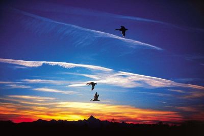 All'alba dei sogni