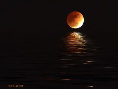 La Luce del Sole Non E' Pi� la Stessa  