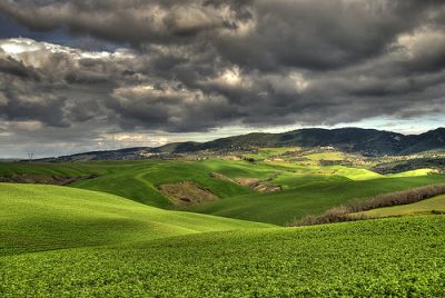 Verdi colline