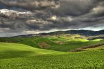Verdi colline
