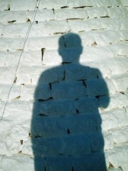 L'ombra dell'amore