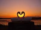 Amore... senza fine