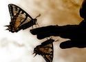 La mia vita?...un volo di fantasia