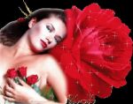 Il volto dell'amore