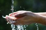 La mia acqua di vita