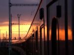 A nime nell�infinito B landire