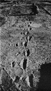L'impronta  