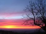 Tra i sentori dell'alba