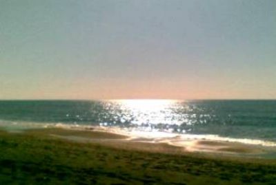Alta marea