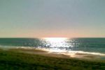 Alta marea