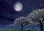 Arriva la luna