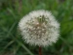 Elaborazione