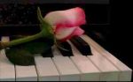 La mia canzone