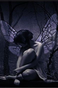 Sbocciavan le viole