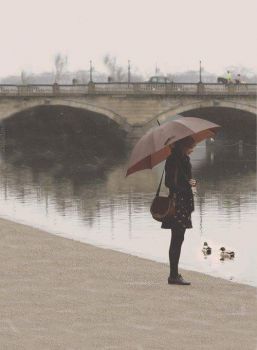 Perch� sempre questa pioggia?