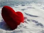 Fiocco di neve