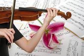 Musica