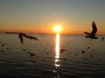 Ultima luce