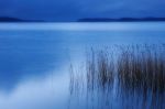 Le verit� dell'essere
