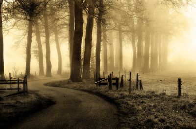 La presenza che non c'�  