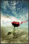 Amour! Tout court!