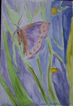 Les papillons