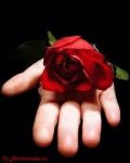 Iononsòpiùparlard'amor