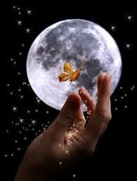Questa notte  