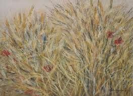 Grano