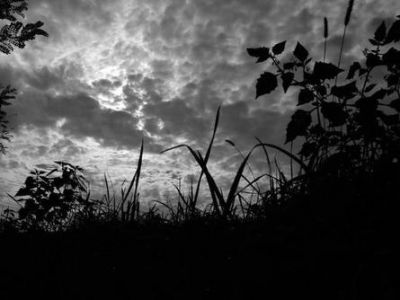 Oscurit�