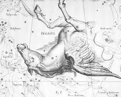 DI GREGGI CAMMELLI CAVALLI (Testamento in tre movimenti)