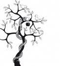 Il serpente e la mela