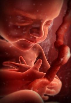 Diario d'una mamma