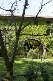 L'ultimo mugnaio
