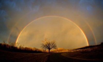 Gli occhi dell’arcobaleno
