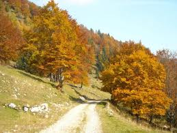 Ottobre in fine