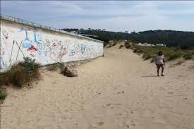 Dune vilipese