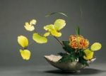 L’ikebana non è un fiore!
