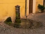 Nasone