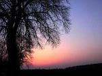 Verso l'alba