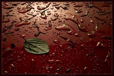 Nuovo Inizio