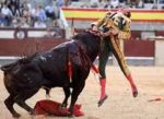 L'ultima corrida