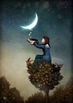 Suggestioni al lume di luna
