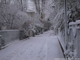 Cadeva in silenzio