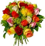 Non può più svanire
